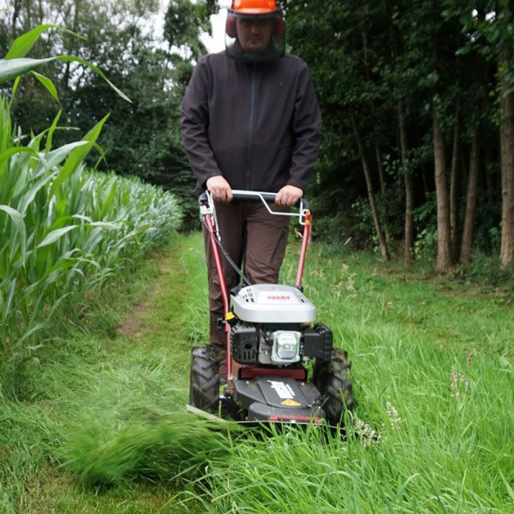 Сінокосарка бензинова HECHT 5060 EU(4 ножа+2 масла 4Т*0,6L) - фото 1 Сінокосарка бензинова HECHT 5060 EU(4 ножа+2 масла 4Т*0,6L) - фото 1