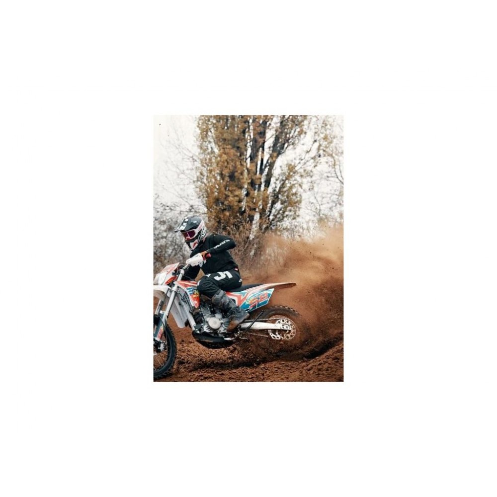 Кросовий мотоцикл Barton NXT 300 - фото 6 Кросовий мотоцикл Barton NXT 300 - фото 6