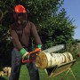 Пила ланцюгова електрична BLACK+DECKER CS1840 - фото 3
