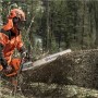 Бензопилки Husqvarna 572XP - фото 5