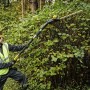Кущоріз акумуляторний безщітковий зі штангою DeWALT DCMPH566P1 - фото 11