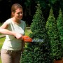 Кущоріз-ножиці акумуляторні BLACK+DECKER GSL700KIT - фото 8