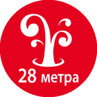 Особливості Daishin PTD306TS 4